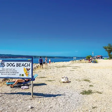 Cozy In With Kitchen Vakantiehuis *